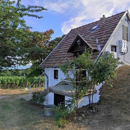 Appartamento Kisház a szőlőhegyen Balatonakali Esterno foto