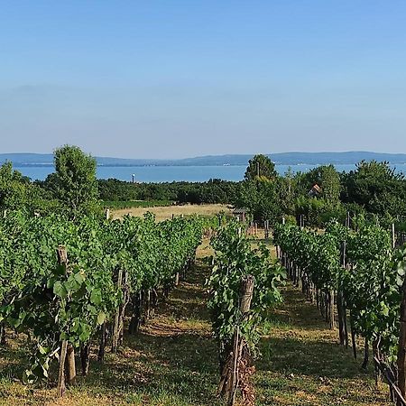 Appartamento Kisház a szőlőhegyen Balatonakali Esterno foto