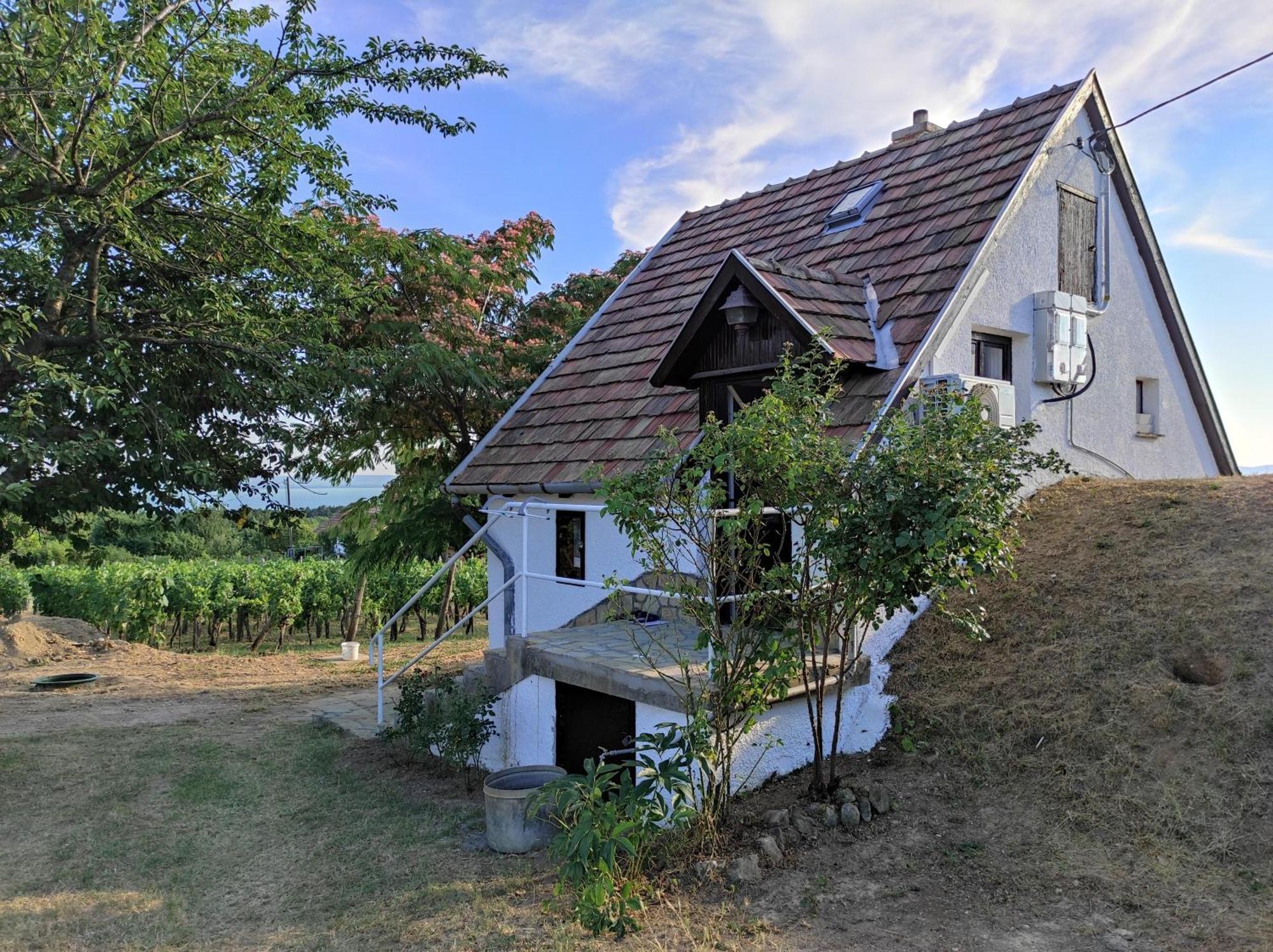 Appartamento Kisház a szőlőhegyen Balatonakali Esterno foto