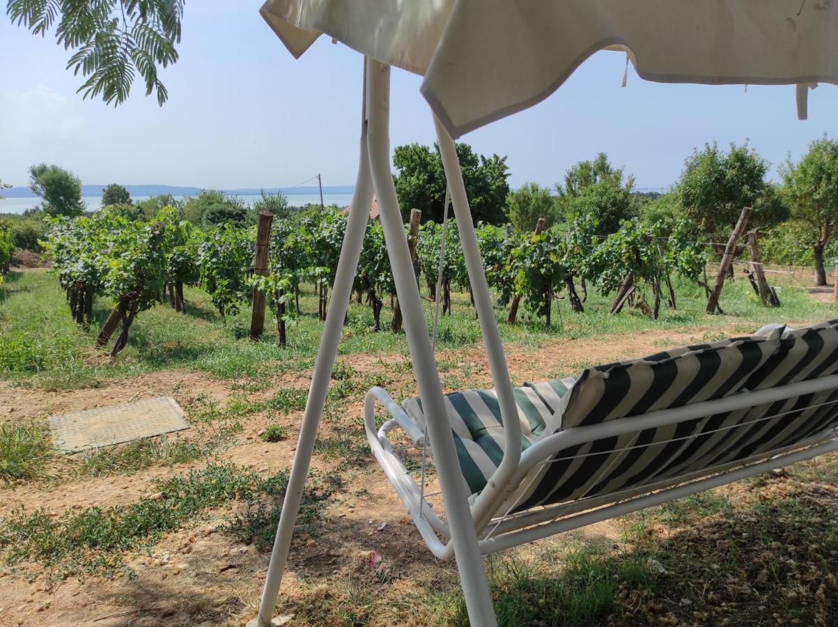 Appartamento Kisház a szőlőhegyen Balatonakali Esterno foto