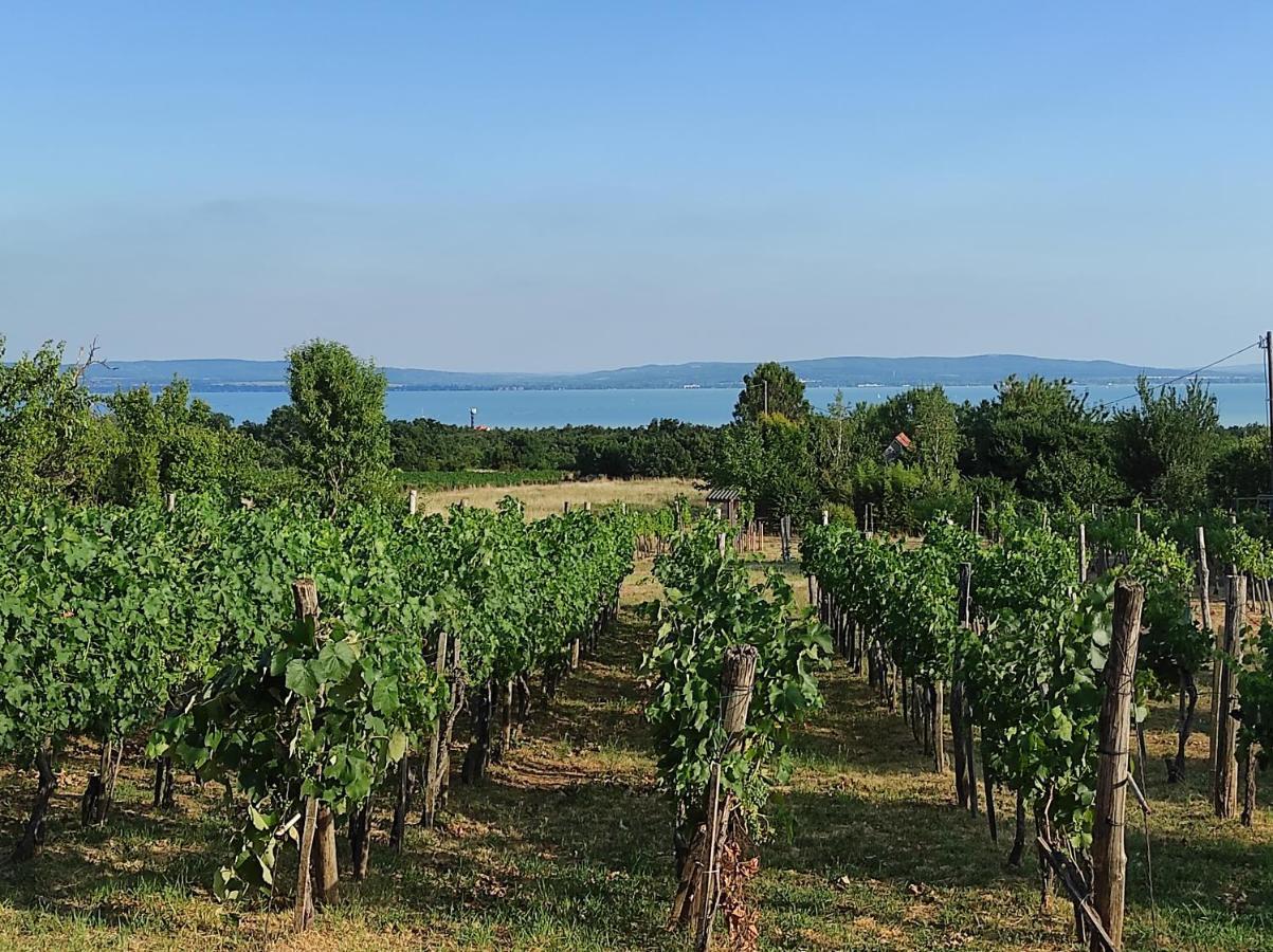 Appartamento Kisház a szőlőhegyen Balatonakali Esterno foto